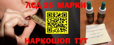 дживик Камышлов