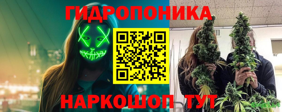 Марихуана гибрид Кондопога